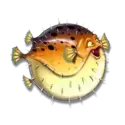 icon 4