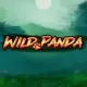 Wild Panda