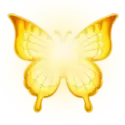 icon 11