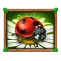 icon 4