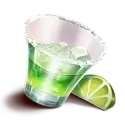 icon 4