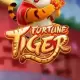 Fortune Tiger