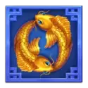 icon 4