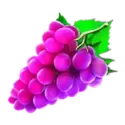 icon 3