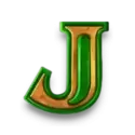 icon 12