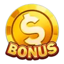 icon 9