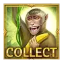 icon 11