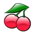 icon 9