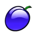 icon 6