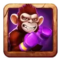 icon 5