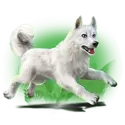 icon 2