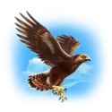 icon 4