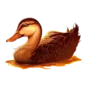icon 4