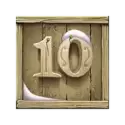 icon 10