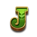 icon 9