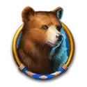 icon 5