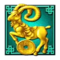 icon 5
