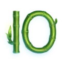 icon 11