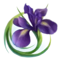 icon 6