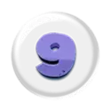 icon 13
