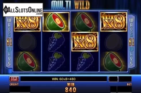 Win screen. Multi Wild from Merkur