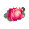 icon 11