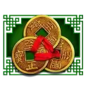 icon 5