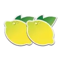 icon 5