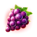 icon 5