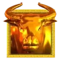 icon 14