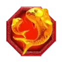 icon 4