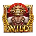 icon 9