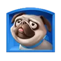 icon 3