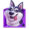 icon 1