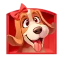 icon 2