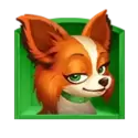 icon 4