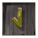 icon 10