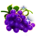 icon 4