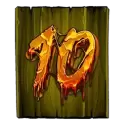 icon 9
