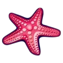 icon 9