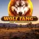 Wolf Fang The Wilderness