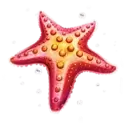 icon 5