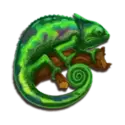 icon 4