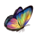 icon 5