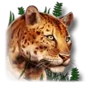icon 5