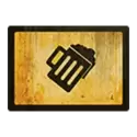 icon 9