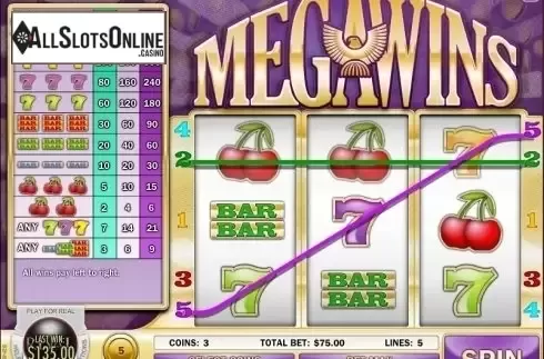 Win Screen 3. Megawins from Rival Gaming