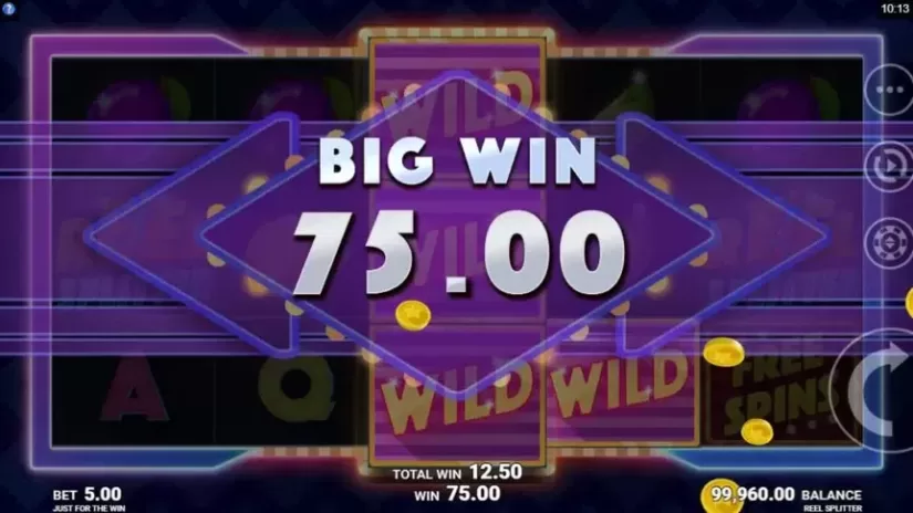 Reel Splitter slot screenshot 3