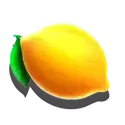 icon 9