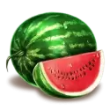 icon 4